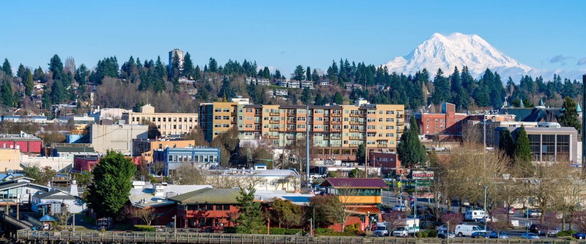 Mount,Rainier,Overlooks,Olympia,,Washington